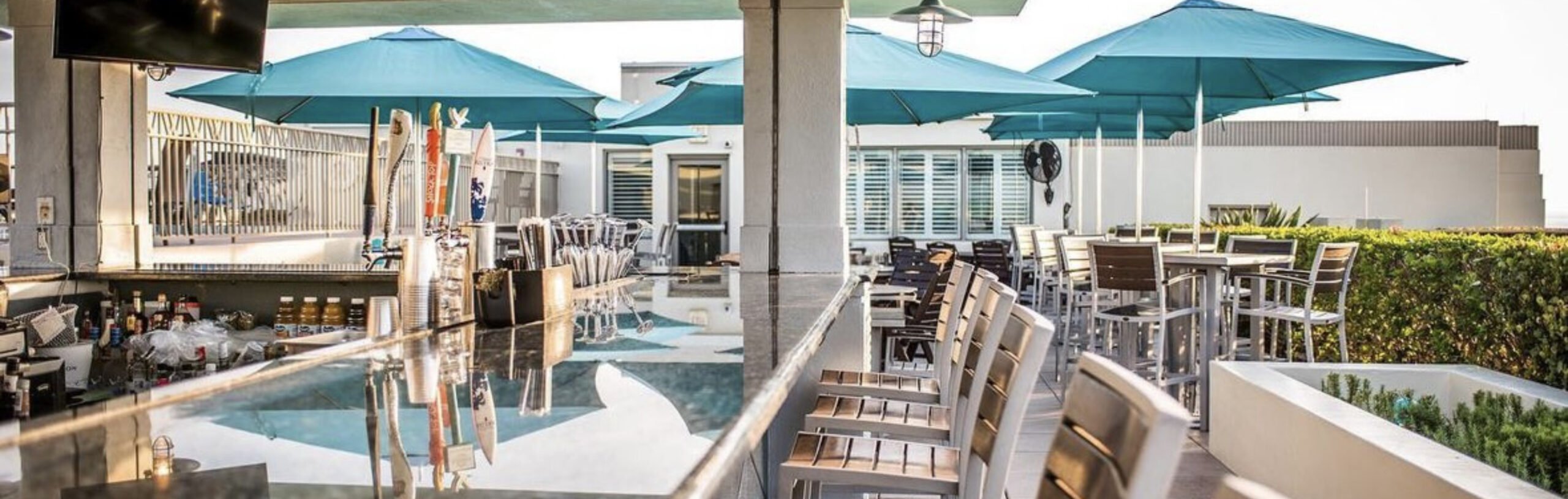 Silence Dogood (Perch360)